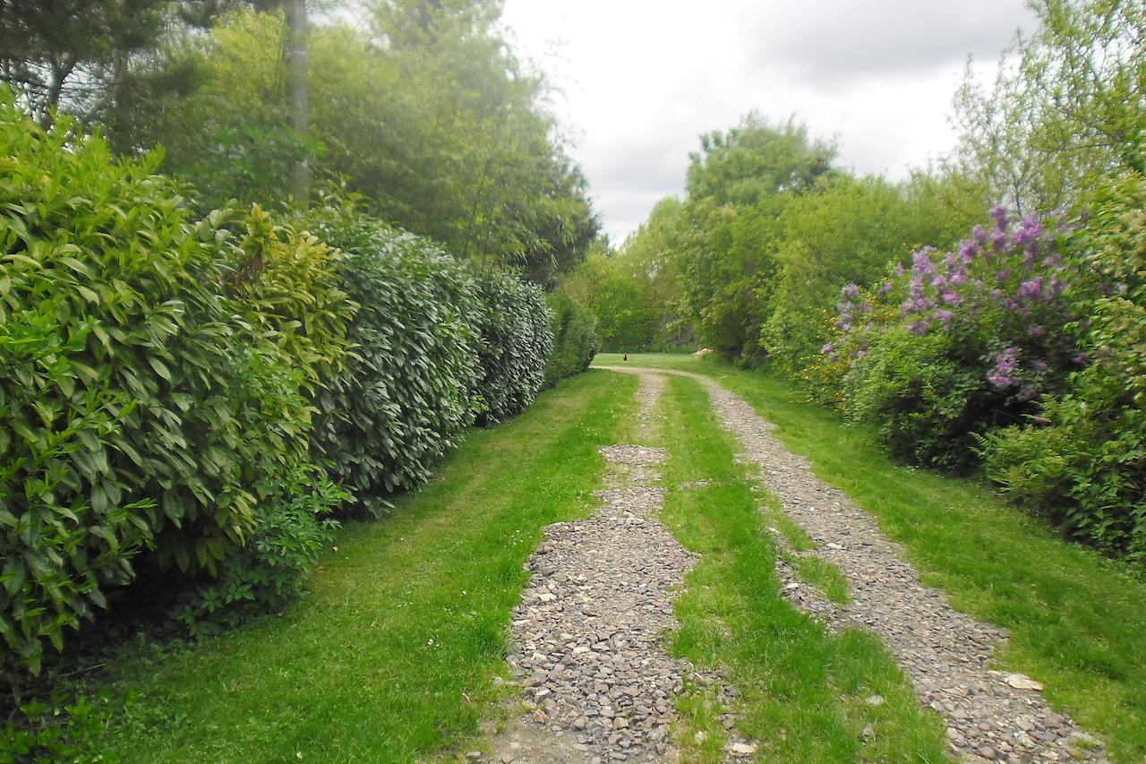 Domaine De Benveau Brécy Zewnętrze zdjęcie